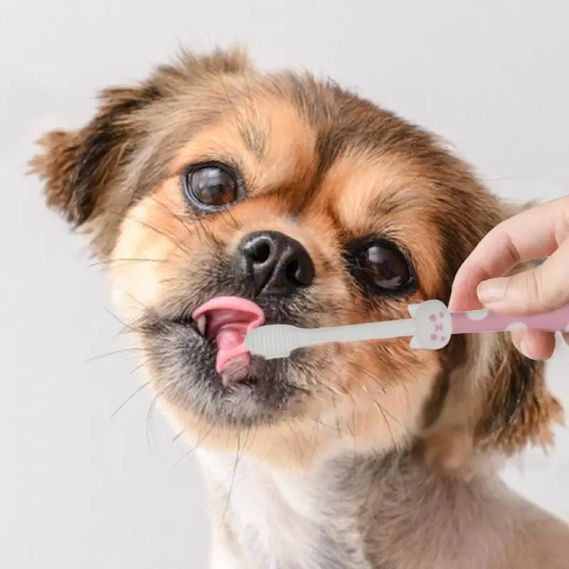 Dog Toothbrush 2pcs Pet Toothbrush Kit For Teeth Cleaning Hygienic For Cats Dogs & Other Pets Dual Use Soft Tooth Brushing Kit
Dog Toothbrush 2pcs Pet Toothbrush Kit For Teeth Cleaning Hygienic For Cats Dogs & Other Pets Dual Use Soft Tooth Brushing Kit