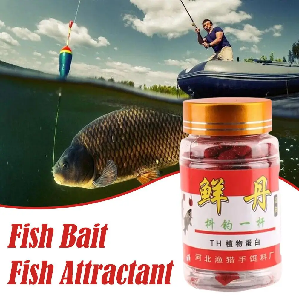 

60g Fishing Lures Fish Attractant High Protein Fishy Smell Bait Portable Effective Fishing Accessories For Freshwater Saltw N0b7