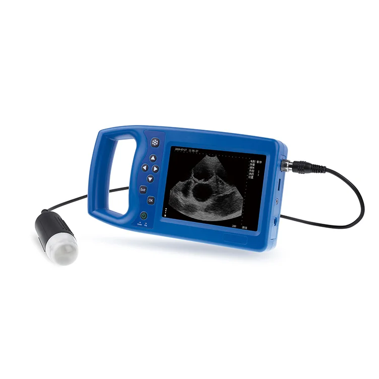 Animal Use ultrasound equipment Veterinary full digital ultrasonic diagnostic instrument
Animal Use ultrasound equipment Veterinary full digital ultrasonic diagnostic instrument