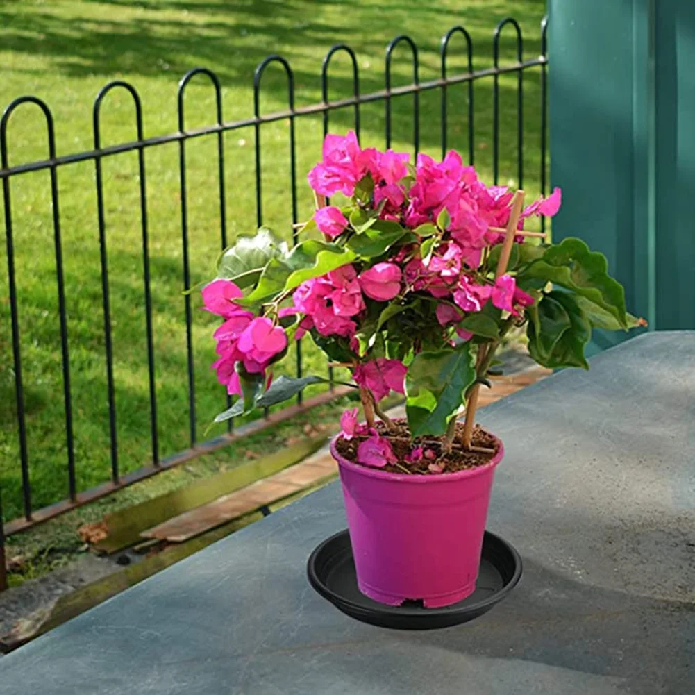 2Pcs Succulent Plant Flower Pot PP Round Saucer Planting Trays 4/6/7/8/10'' For Outdoor Gardening Decoration Accessories
2Pcs Succulent Plant Flower Pot PP Round Saucer Planting Trays 4/6/7/8/10'' For Outdoor Gardening Decoration Accessories