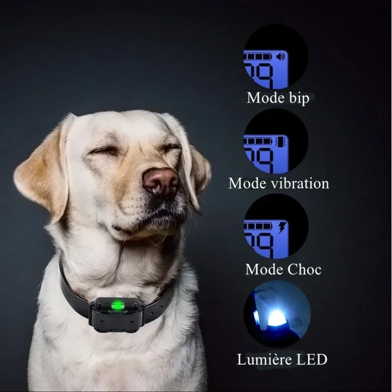 With Collar 800m Electric Control Pet For Bark Rechargeable Dog s Waterproof Training Remote
With Collar 800m Electric Control Pet For Bark Rechargeable Dog s Waterproof Training Remote