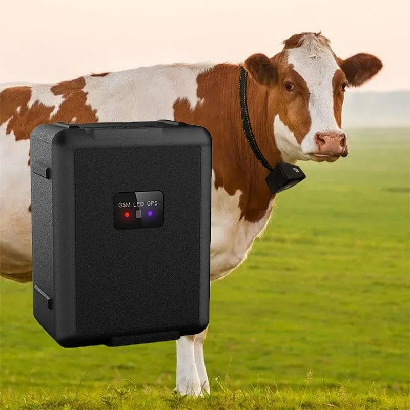 

4G GPS Tracker Sheep Cow Cattle Horse GPS Wifi Tracking Device Geo-fences Waterproof 30000mAh Huge Battery SOS Alarm Free APP