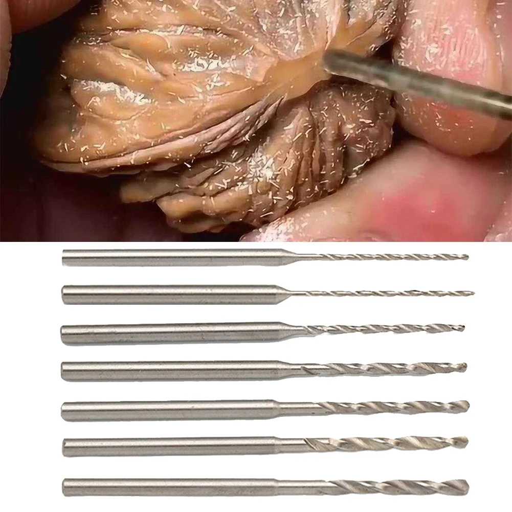 7pcs 2.35mm Shank HSS Drill Bit Straight Shank Drill Bits For Wood Jin Gang Linden Horn Amber Olive Walnut Hole Drilling Tools
7pcs 2.35mm Shank HSS Drill Bit Straight Shank Drill Bits For Wood Jin Gang Linden Horn Amber Olive Walnut Hole Drilling Tools