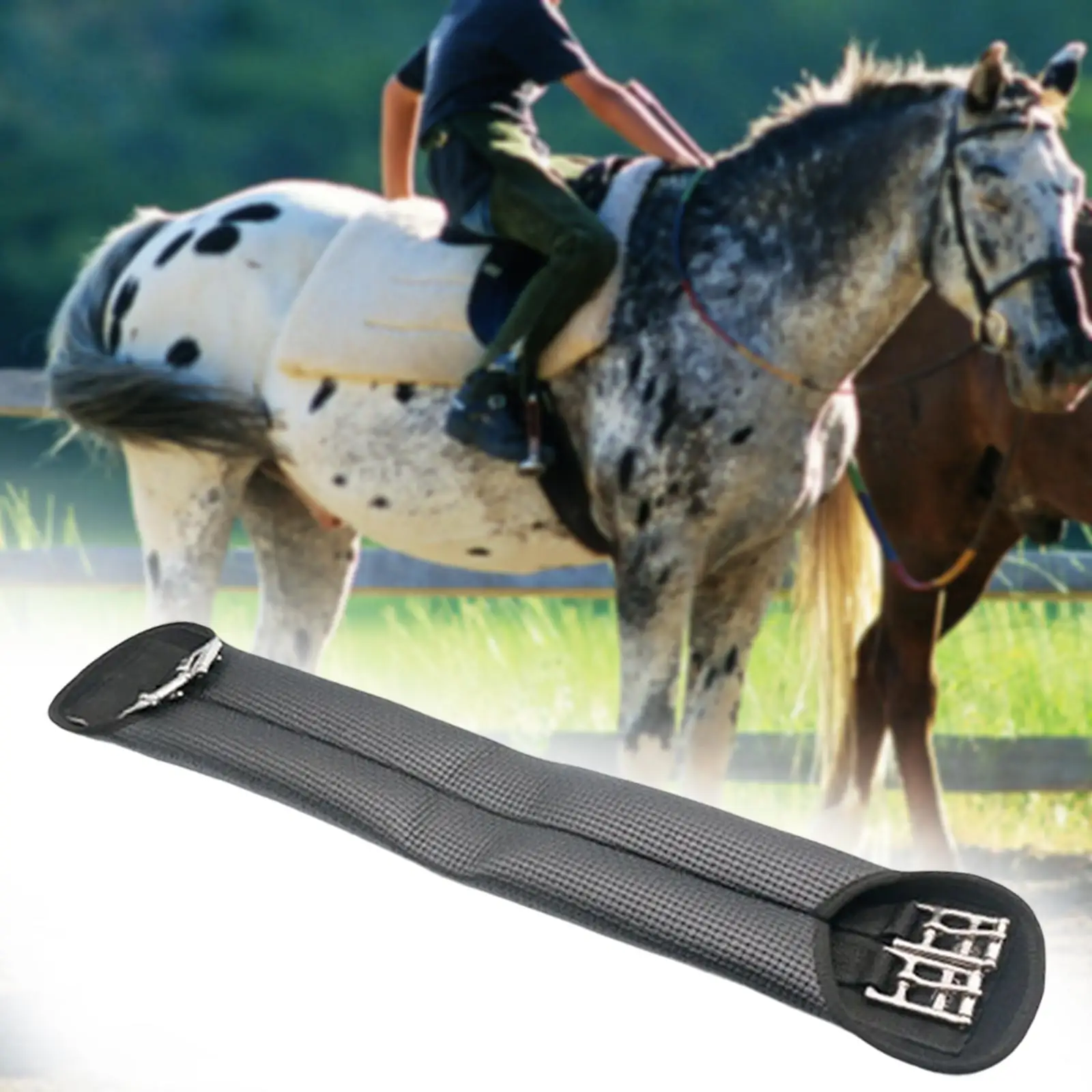 Horse Belly Belt Equestrian Safety Gear Comfortable Equestrian Safety Gear Strap Durable Sturdy for Horse Training Horse Show
Horse Belly Belt Equestrian Safety Gear Comfortable Equestrian Safety Gear Strap Durable Sturdy for Horse Training Horse Show