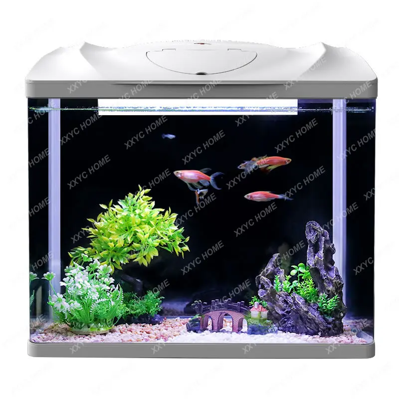 Aquarium Ecological Desktop Creativity Fish Globe Glass Mini Small Living Room Home Cylinder
Aquarium Ecological Desktop Creativity Fish Globe Glass Mini Small Living Room Home Cylinder