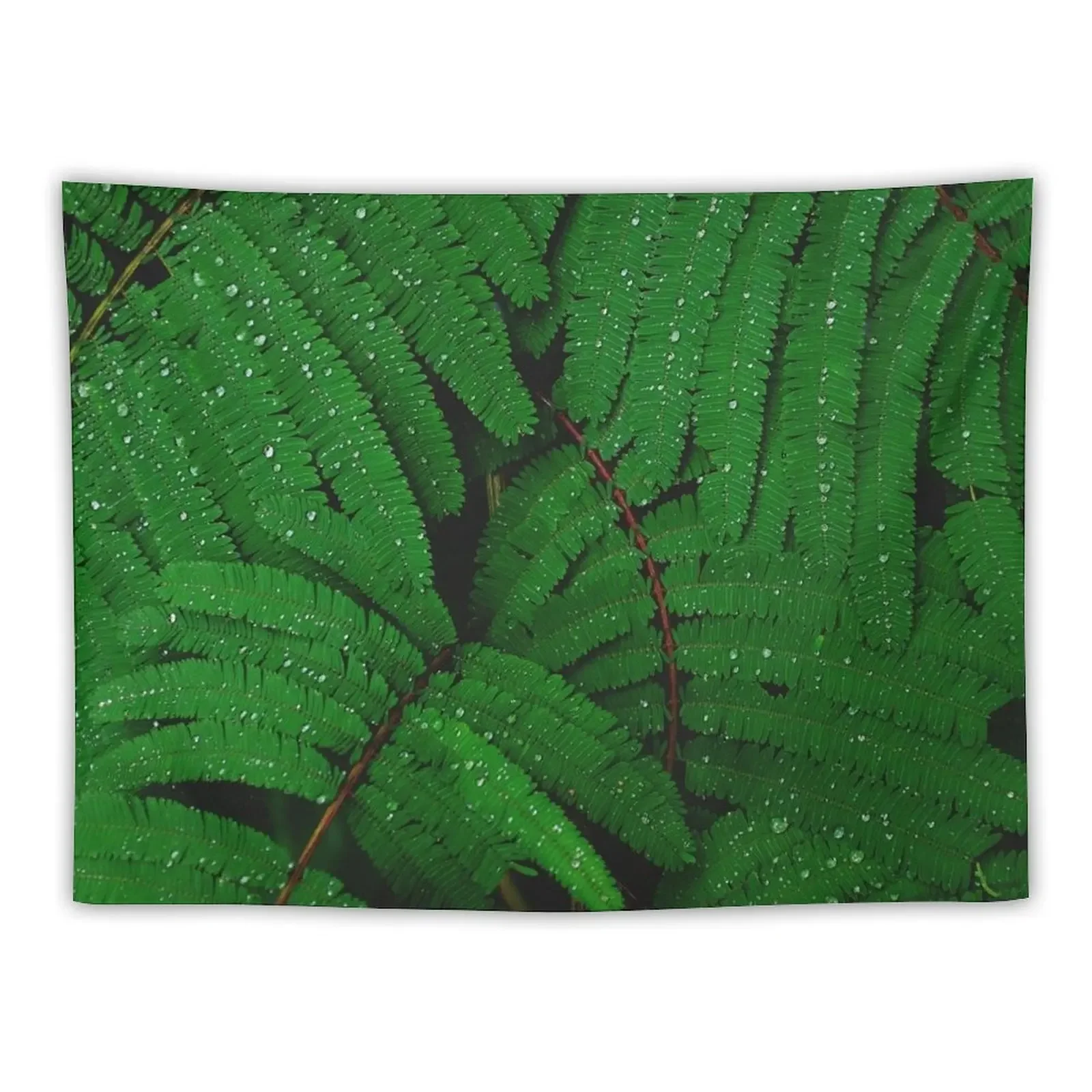 MINDS IN NATURE|MODERN PRINTING|1 PC #27984579 Tapestry Aesthetic Home Decor Nordic Home Decor Wall Hangings Decoration Tapestry
MINDS IN NATURE|MODERN PRINTING|1 PC #27984579 Tapestry Aesthetic Home Decor Nordic Home Decor Wall Hangings Decoration Tapestry
