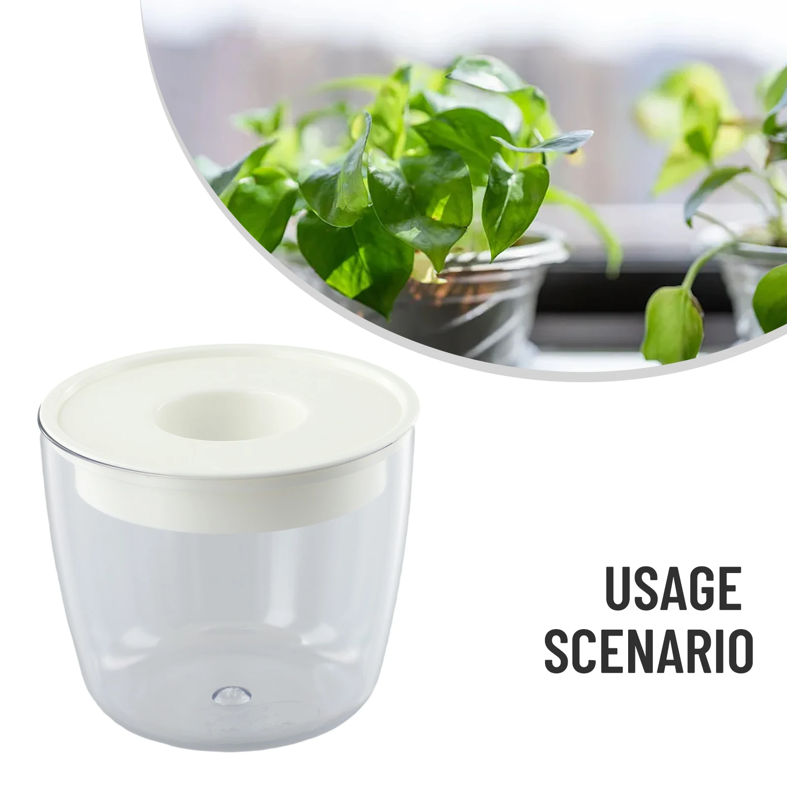 Creative DIY Environmental Air Plant Holder Flowerpot Flowerpots Hydroponic Flower Pot 6*9cm Round Transparent
Creative DIY Environmental Air Plant Holder Flowerpot Flowerpots Hydroponic Flower Pot 6*9cm Round Transparent