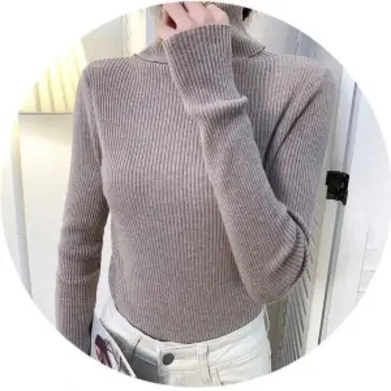Women Sweater New 2023 Pullover Turtleneck Korean Autumn Long Sleeve Slim Elastic Simple Basic Cheap Jumper Solid Color Top
Women Sweater New 2023 Pullover Turtleneck Korean Autumn Long Sleeve Slim Elastic Simple Basic Cheap Jumper Solid Color Top