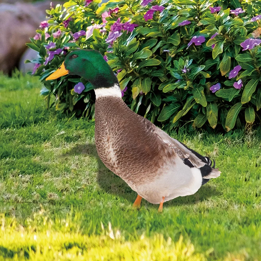 Yard Art Decor Outdoor Double-Sided Printing Duck Sculpture Wild Duck Decorations Acrylic Duck Statues Realistic
Yard Art Decor Outdoor Double-Sided Printing Duck Sculpture Wild Duck Decorations Acrylic Duck Statues Realistic