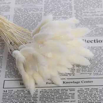 아로마 테라피 등나무 화재 아로마 디퓨저 스틱, 거실 말린 꽃 도그 테일 인공 꽃 아로마 향 용품 상품 이미지