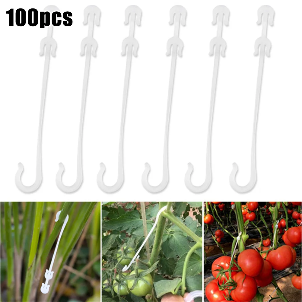 New Plant Ear Hook Plant Ear Hook Tomato Vegetable 100PCS Cherry Ear Hook Fixed Buckle Fixing Clips Grape Support
New Plant Ear Hook Plant Ear Hook Tomato Vegetable 100PCS Cherry Ear Hook Fixed Buckle Fixing Clips Grape Support