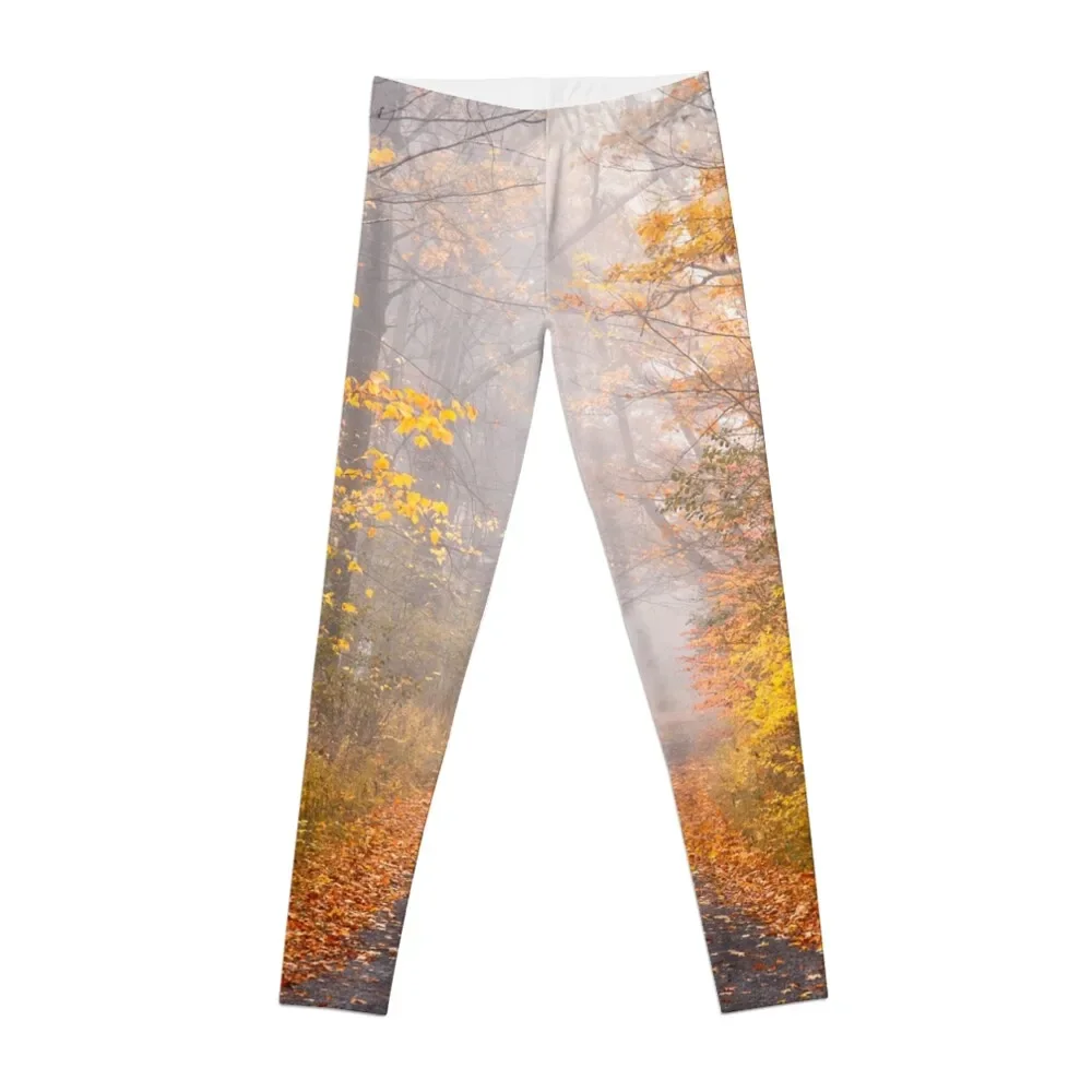 

Road in Autumn Mist Leggings Jogger pants joggers for gym pants sporty woman push up Womens Leggings
