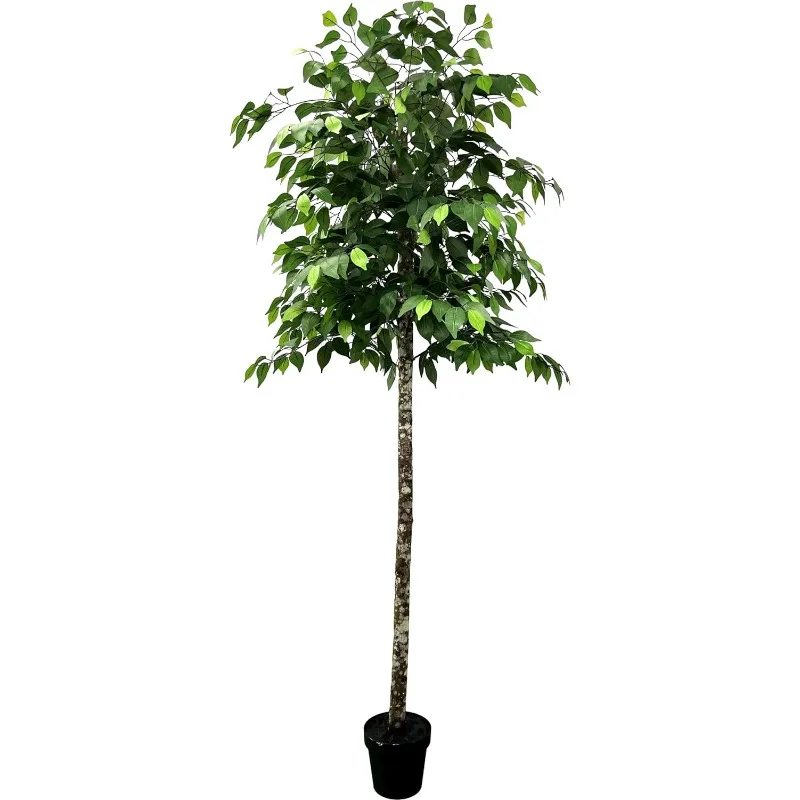 6.5' Artificial Ficus Tree, Artificial Plant, Hand-Made with Real Wood Trunks
6.5' Artificial Ficus Tree, Artificial Plant, Hand-Made with Real Wood Trunks
