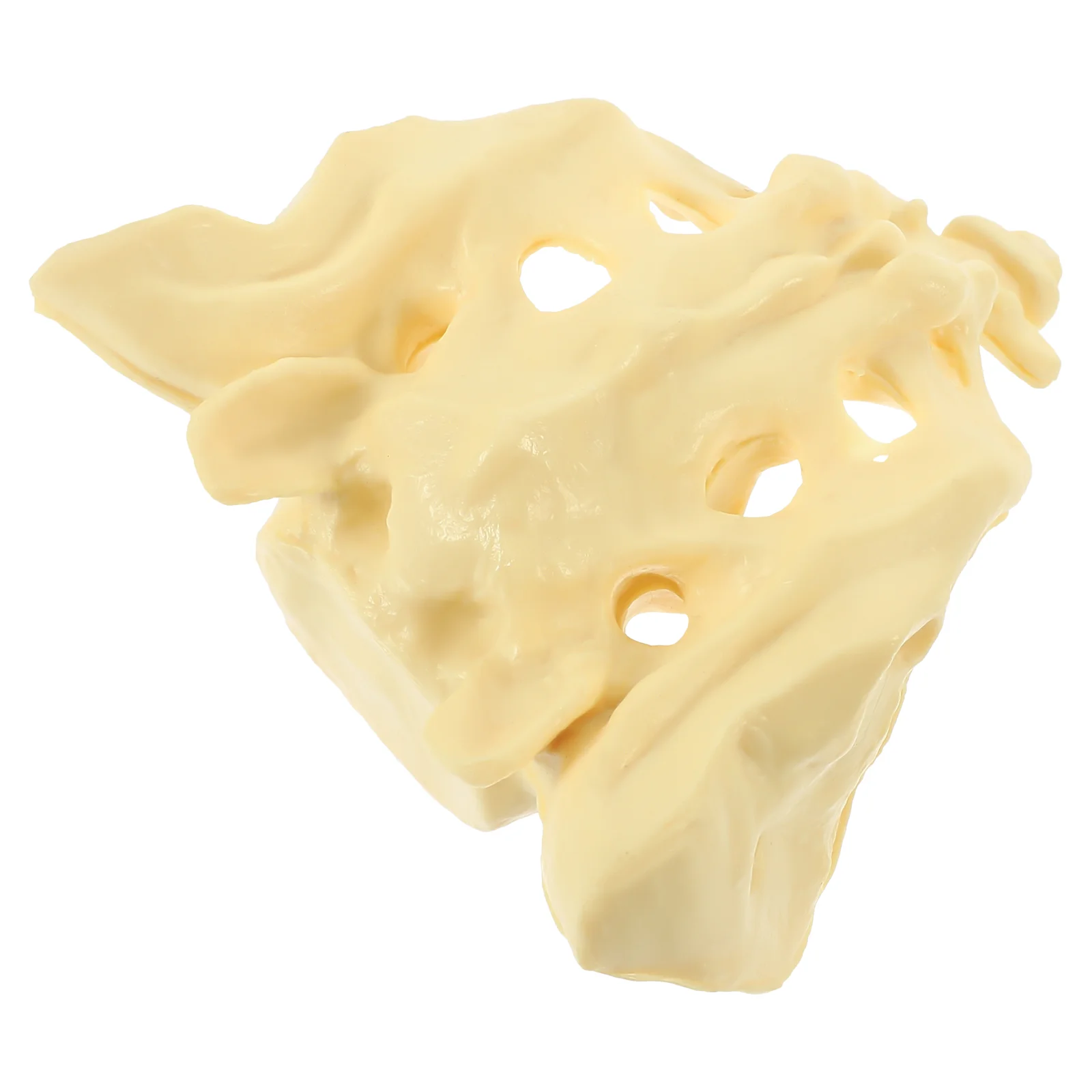 Healthy Sacrum Bone Model PVC Models Medical Anatomy Training for Doctor Sports Artificial Human
Healthy Sacrum Bone Model PVC Models Medical Anatomy Training for Doctor Sports Artificial Human