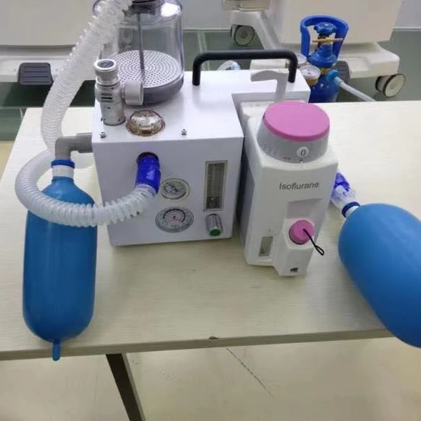 Cheap Price DM6D Portable Vet Surgical Instruments Veterinary Anasthesia Machine Gas Anesthesia
Cheap Price DM6D Portable Vet Surgical Instruments Veterinary Anasthesia Machine Gas Anesthesia