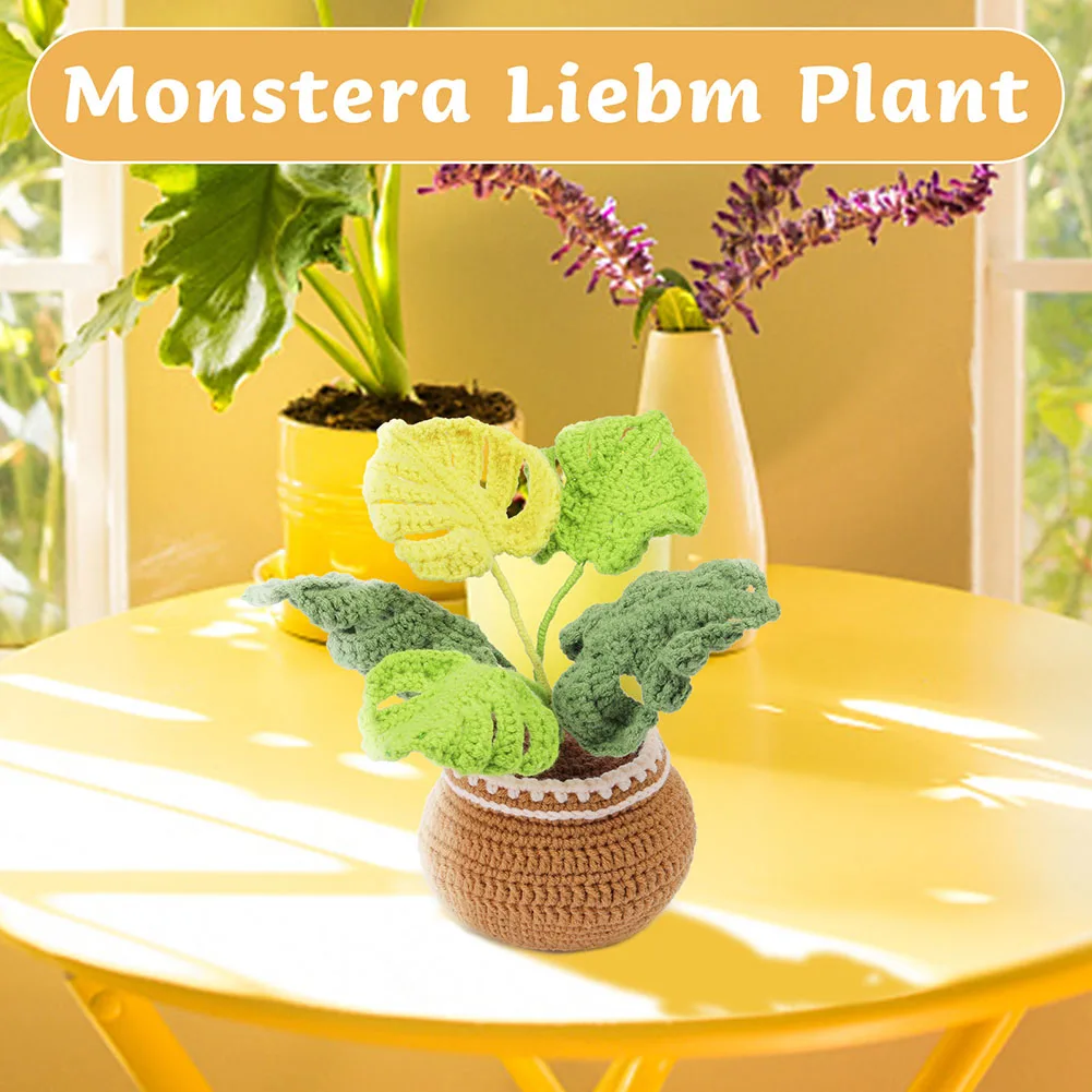 DIY Crochet Plant Knitting Material Kit With Hand Knitting Yarn Needles DIY Knitting Woolen Tools DIY Bonsai Craft Art Gifts
DIY Crochet Plant Knitting Material Kit With Hand Knitting Yarn Needles DIY Knitting Woolen Tools DIY Bonsai Craft Art Gifts