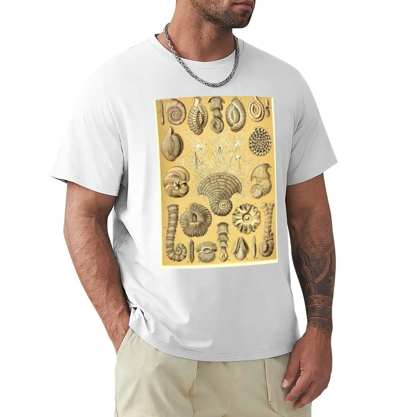 Plate 12. Thalamophora (now Foraminifera), amoeboid protozoans T-Shirt plain customs design your own fitted t shirts for men
Plate 12. Thalamophora (now Foraminifera), amoeboid protozoans T-Shirt plain customs design your own fitted t shirts for men