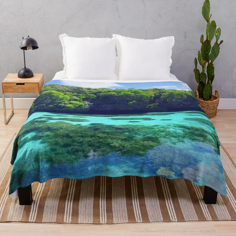 New Caledonia Island Throw Blanket Blankets For Bed Blankets For Sofas Heavy Giant Sofa Blankets
New Caledonia Island Throw Blanket Blankets For Bed Blankets For Sofas Heavy Giant Sofa Blankets