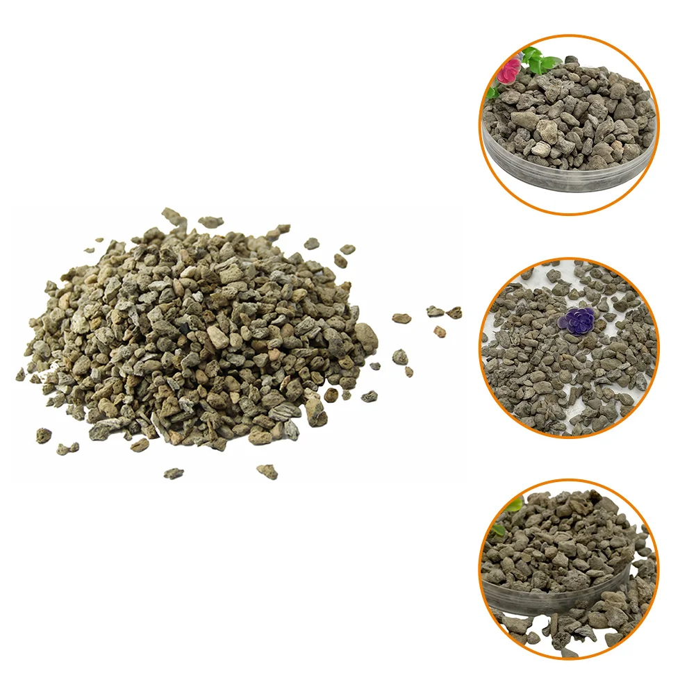 Micro Landscape Stone Mini Gardening Stones Fish Tank Decorations Gravel Rocks Layout Decors Natural Pumice Plant
Micro Landscape Stone Mini Gardening Stones Fish Tank Decorations Gravel Rocks Layout Decors Natural Pumice Plant