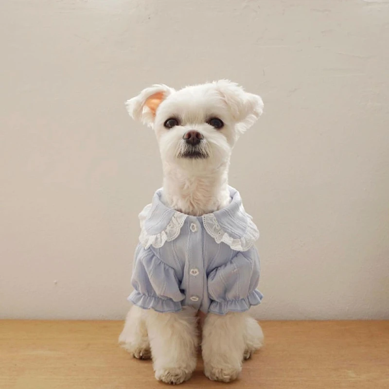 Lace-trimmed Shirt For Dog - Sweet Pastel Colors Lace-trimmed Shirt For Dog - Sweet Pastel Colors
