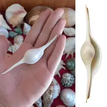 1pc rare Marine Shell Natural Seashell Conch Beach Nautical Home Decor Shells Specimen Collectibles Fish Tank Landscape
1pc rare Marine Shell Natural Seashell Conch Beach Nautical Home Decor Shells Specimen Collectibles Fish Tank Landscape