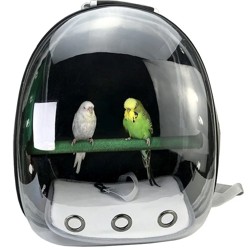 Se8ee11966daf42e4aa2cc226198661e6v