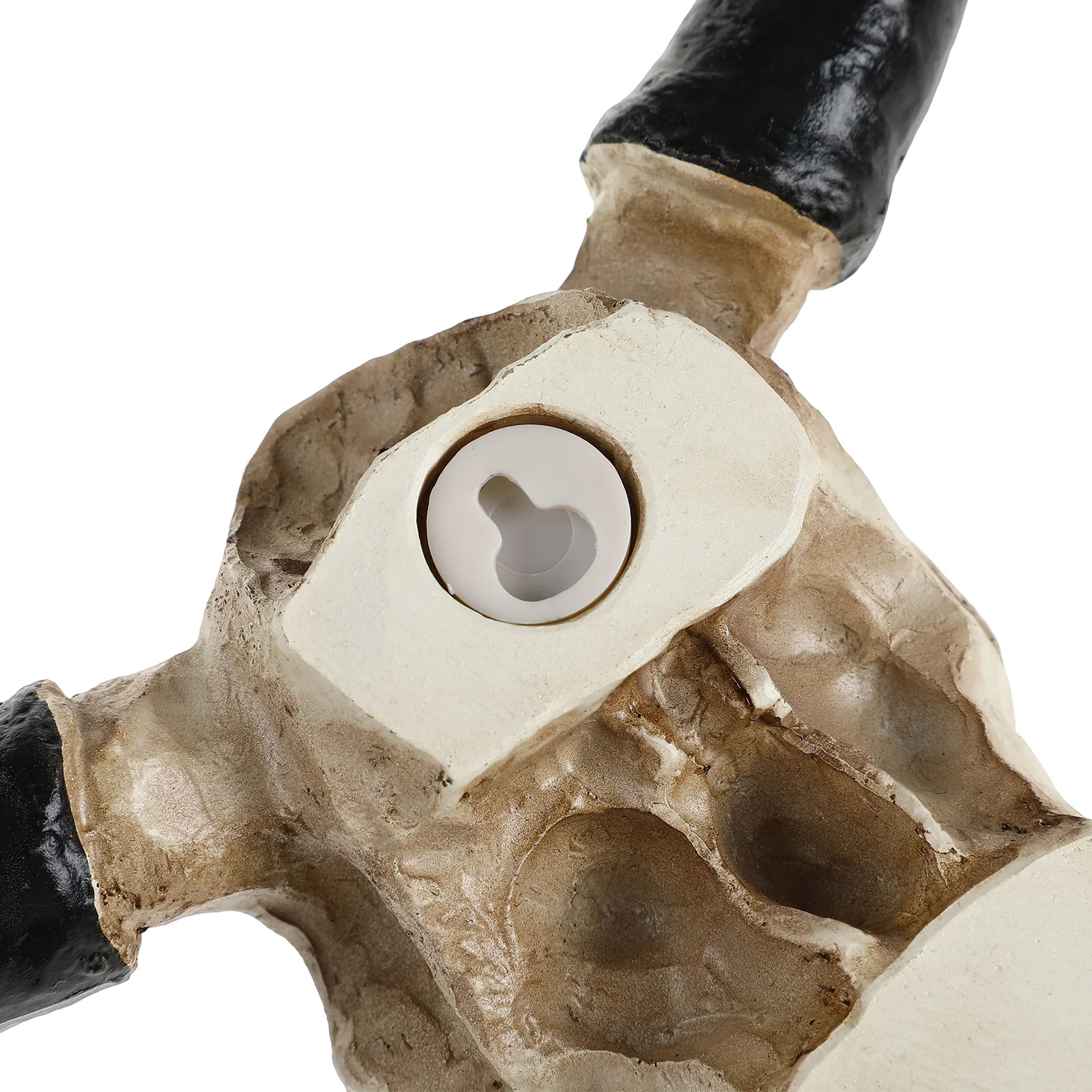 Long Horn Cow Skull Wall Hanging Longhorn Steer 3D Creative Animal Sculpture Home Resin Bull Horn Figurines Crafts Ornaments
Long Horn Cow Skull Wall Hanging Longhorn Steer 3D Creative Animal Sculpture Home Resin Bull Horn Figurines Crafts Ornaments