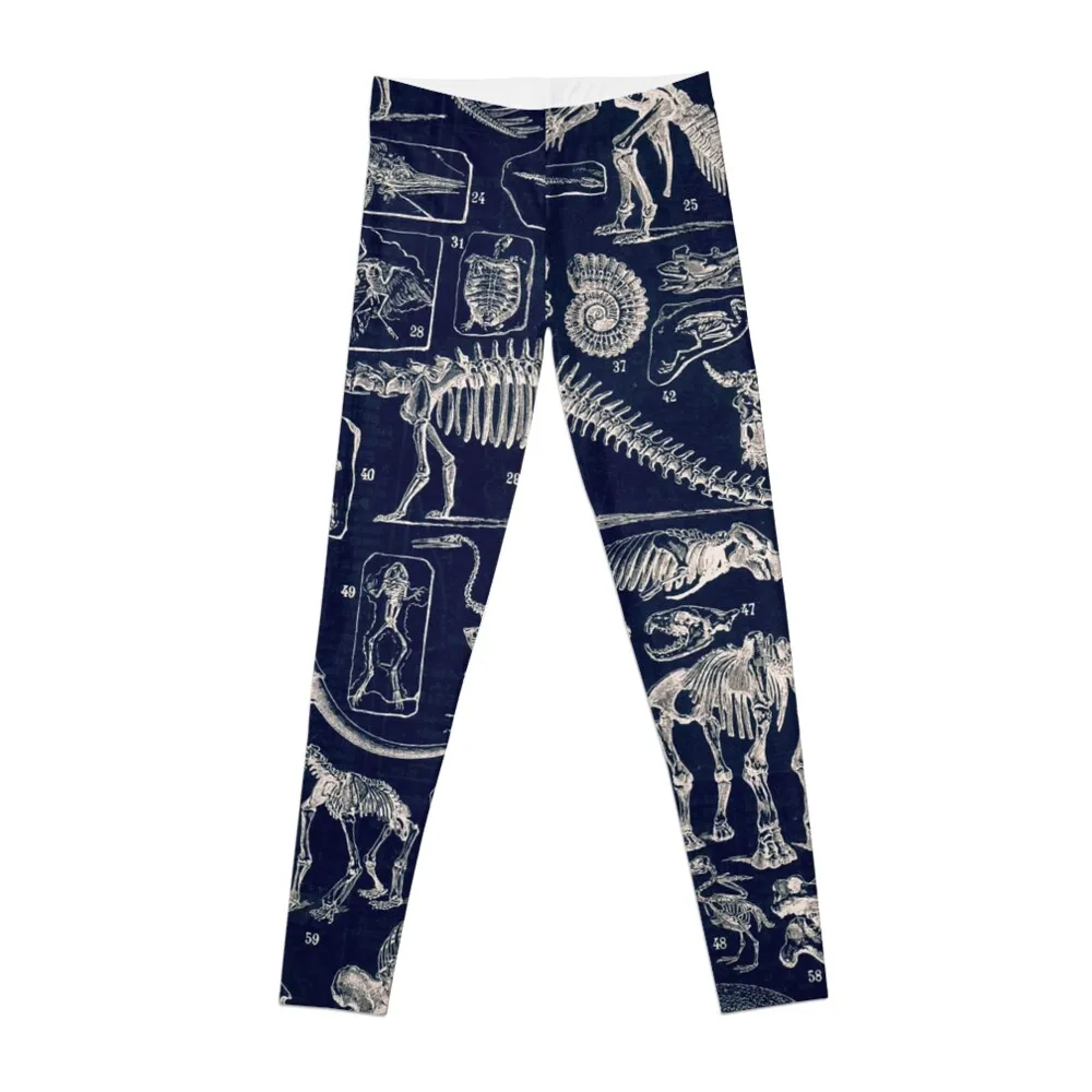 Adolphe Millot - Paleontologie (paleontology)- vintage french poster Leggings high waist Fitness woman Womens Leggings
Adolphe Millot - Paleontologie (paleontology)- vintage french poster Leggings high waist Fitness woman Womens Leggings