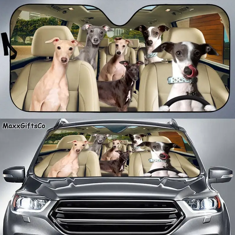 Italian Greyhound Car Sun Shade, Italian Greyhound Windshield, Dogs Family Sunshade, Dog Car Accessories, Car Decoration, Gift F
Italian Greyhound Car Sun Shade, Italian Greyhound Windshield, Dogs Family Sunshade, Dog Car Accessories, Car Decoration, Gift F