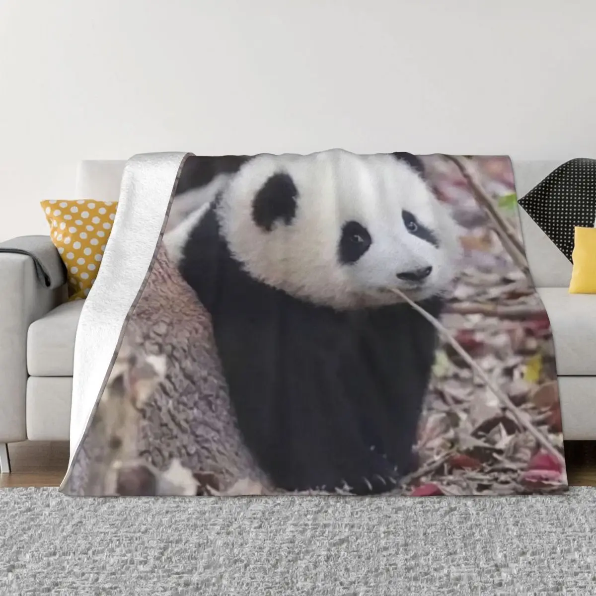 Huahua Panda Animal Blanket Soft Plush Anti-pilling Flannel Throw Blankets for Easy Care Machine Room Decor
Huahua Panda Animal Blanket Soft Plush Anti-pilling Flannel Throw Blankets for Easy Care Machine Room Decor
