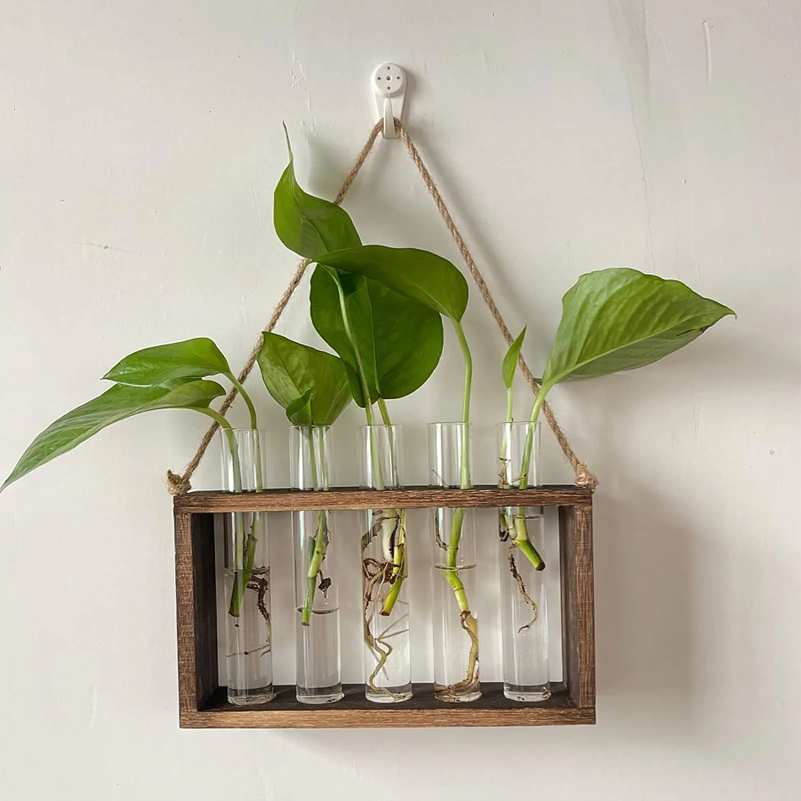 

Растительный Террариум с деревянной подставкой, стеклянная ваза для растений для дома, Гидропонные растения, украшение для дома и офиса
