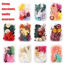 Floating flower dried flower immortal flower DIY glue filling flower material mini embossing material dried flower wholesale 
Floating flower dried flower immortal flower DIY glue filling flower material mini embossing material dried flower wholesale