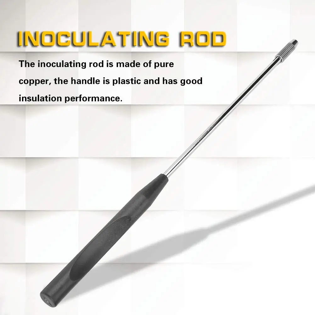 Inoculating Rod Pure Copper Microbiology Inoculation Handle Loop For Microbiological Testing Molecular Biology Laboratory Tool
Inoculating Rod Pure Copper Microbiology Inoculation Handle Loop For Microbiological Testing Molecular Biology Laboratory Tool