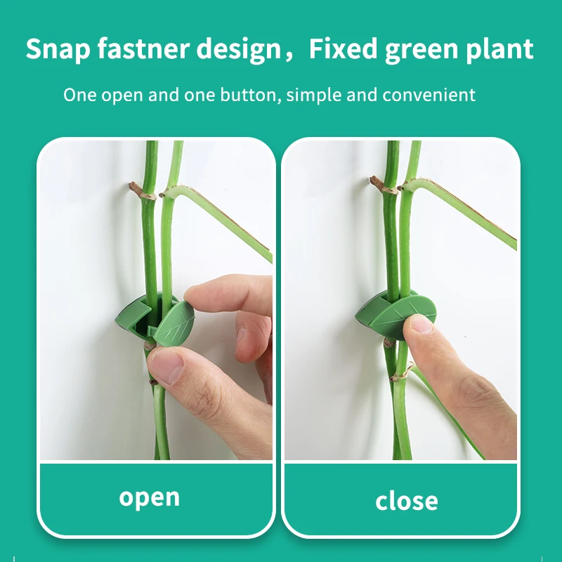 Invisible Clips For Plants Plant Climbing Wall Fixture Rattan Vine Bracket Fixed Buckle Leaf Clips Traction Holder Garden
Invisible Clips For Plants Plant Climbing Wall Fixture Rattan Vine Bracket Fixed Buckle Leaf Clips Traction Holder Garden