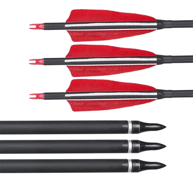 6/12Pcs Archery Mixed Carbon Arrows Spine 500 With Real Turkey Feathers for Compound Recurve Bow Hunting Shooting Accessories
6/12Pcs Archery Mixed Carbon Arrows Spine 500 With Real Turkey Feathers for Compound Recurve Bow Hunting Shooting Accessories