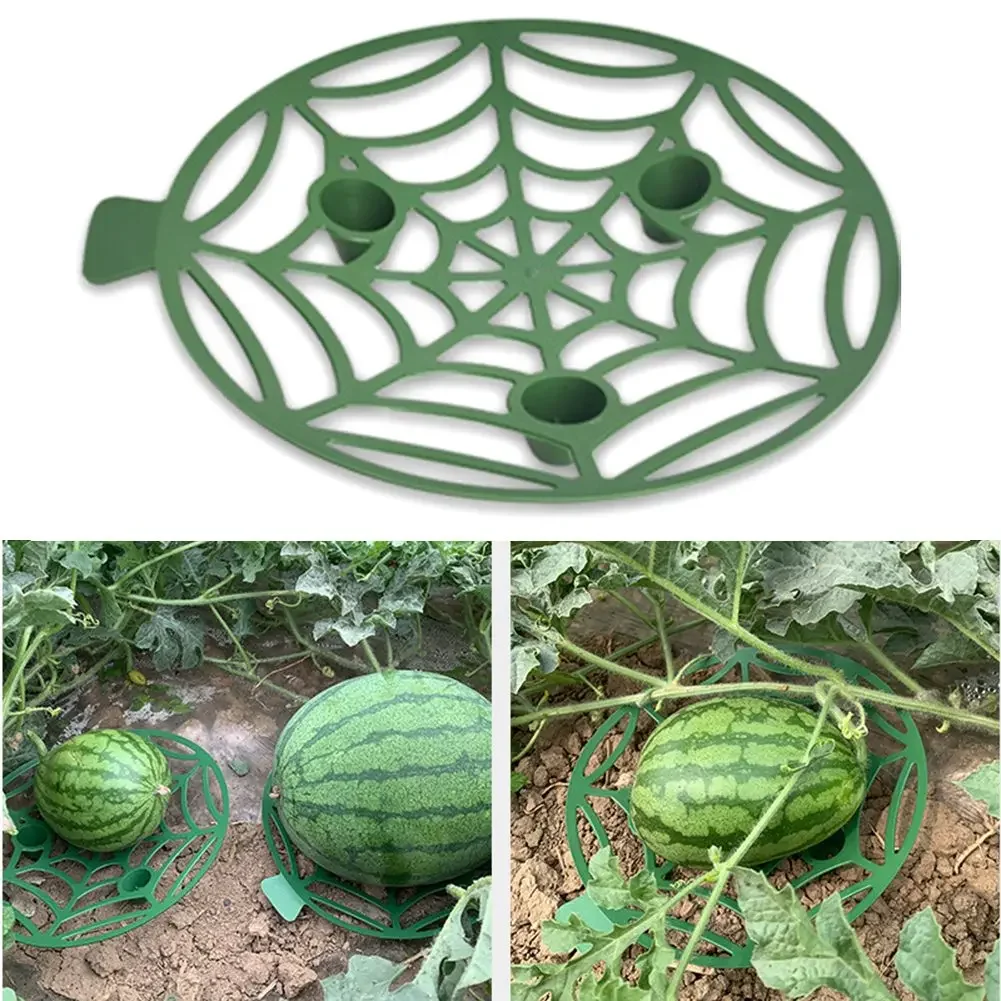 5/10Pc Watermelon Fruit Stand Support Basket Frame Vegetables Plants Tray Rack Melon Pumpkin Protective Holder Garden Tool Use
5/10Pc Watermelon Fruit Stand Support Basket Frame Vegetables Plants Tray Rack Melon Pumpkin Protective Holder Garden Tool Use