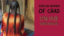 300ml Combining South Africa Chad Century-old Local Ingredients with Modern Craftsmanship 2 Month Super Fast Hair Growth Shampoo
300ml Combining South Africa Chad Century-old Local Ingredients with Modern Craftsmanship 2 Month Super Fast Hair Growth Shampoo