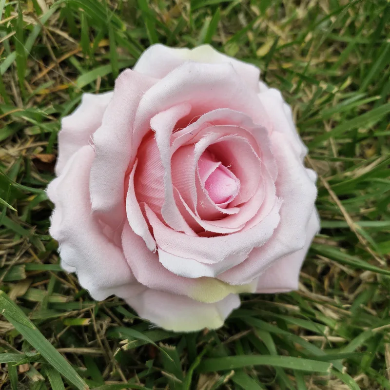 10 шт., цветы для украшения дома
10 шт., цветы для украшения дома