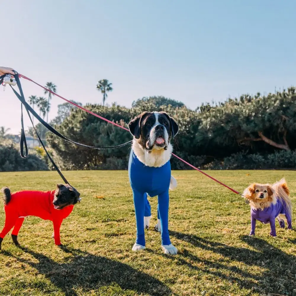 Soft Dog Surgery Recovery Suit Solid Color Comfortable Pet Dog Onesie Clothes Polyester Dog Pajamas 4-leg Pet Clothing
Soft Dog Surgery Recovery Suit Solid Color Comfortable Pet Dog Onesie Clothes Polyester Dog Pajamas 4-leg Pet Clothing