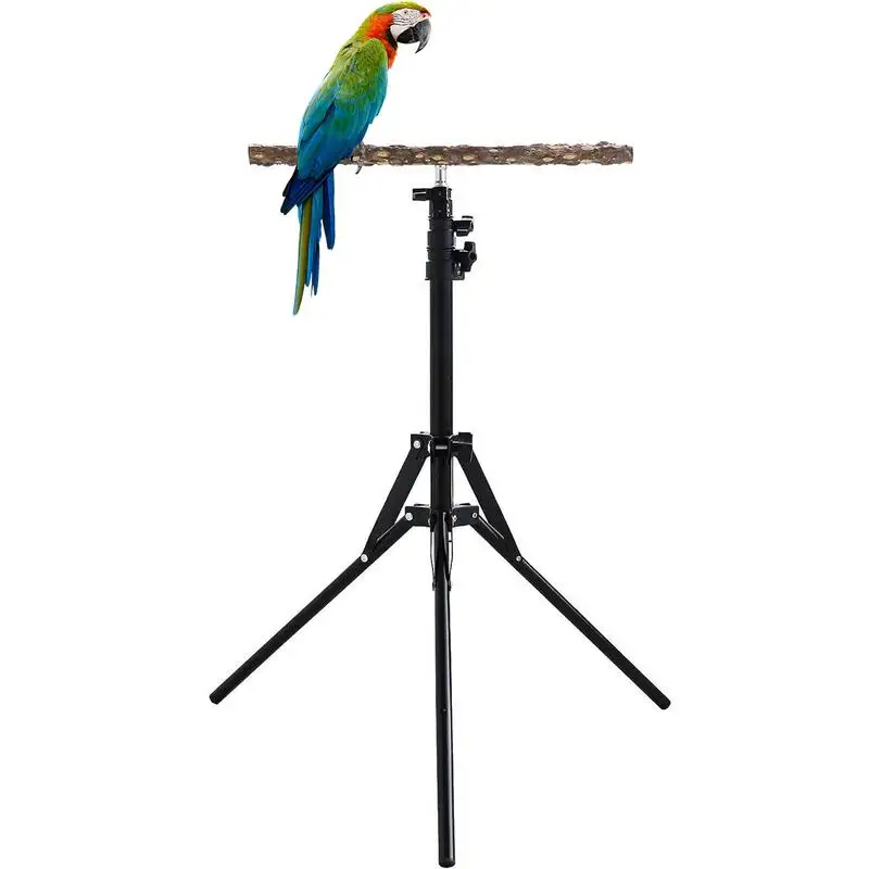 Bird Perch Stand Height Adjustable Bird Training Perch Stand Wood Parrot Perch Toy for Small Medium Birds Indoor Outdoor supply
Bird Perch Stand Height Adjustable Bird Training Perch Stand Wood Parrot Perch Toy for Small Medium Birds Indoor Outdoor supply