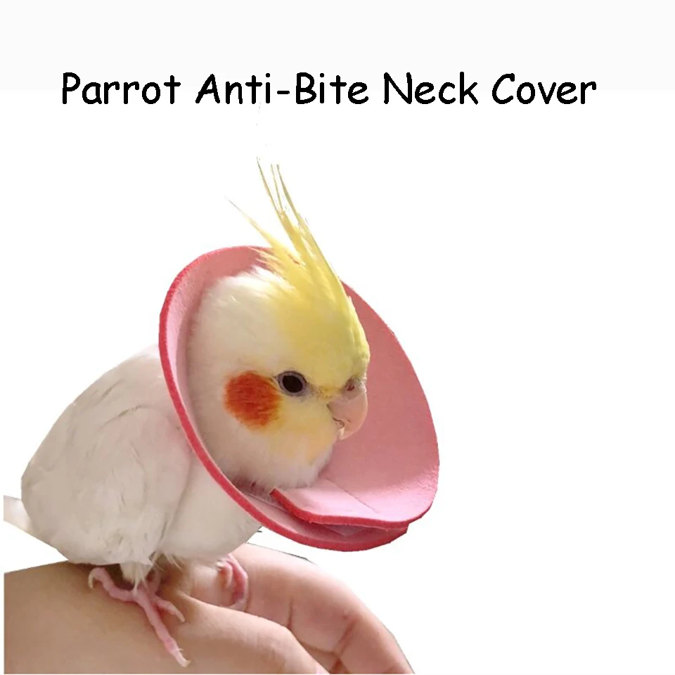Parrot Anti-biting Neck Ring Bird With Pecking Hair Biting Hair Injury Protection Neck Sleeve Tiger Skin Scarf
Parrot Anti-biting Neck Ring Bird With Pecking Hair Biting Hair Injury Protection Neck Sleeve Tiger Skin Scarf