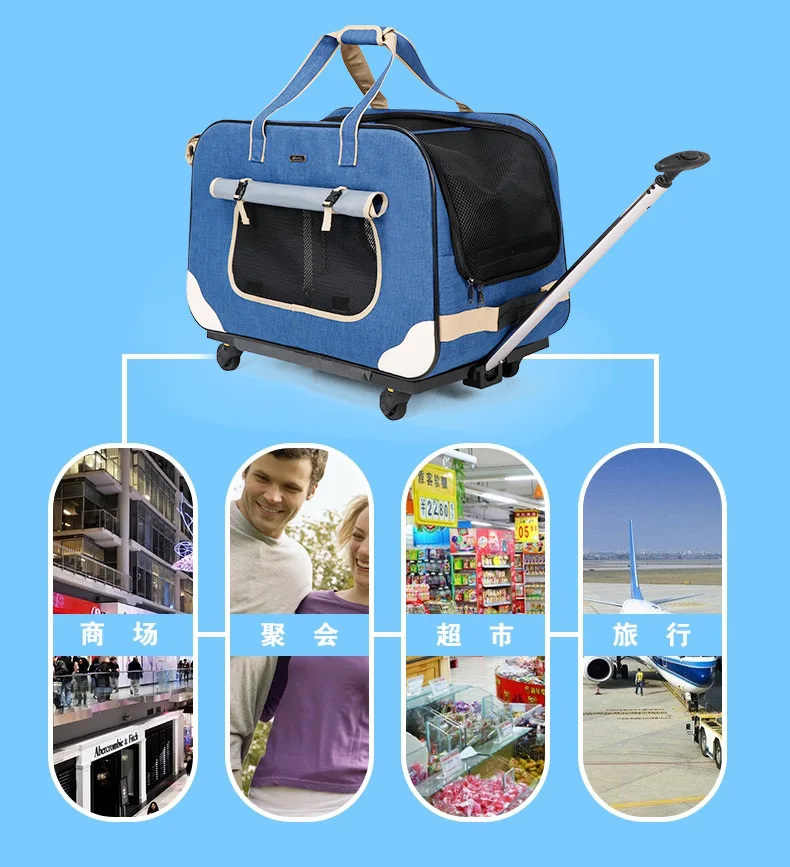 Sead2f5f9c06f433fa937225a63af828bj