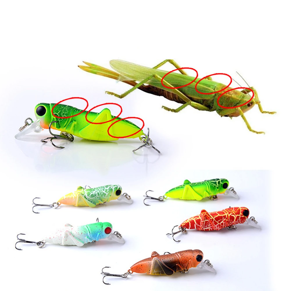 1pc 5cm 4g Grasshopper Bait Insect Fishing Lures Hook Artificial Baits Casting Trolling Sea Carp Fishing Fishhook Iscas Tackle
1pc 5cm 4g Grasshopper Bait Insect Fishing Lures Hook Artificial Baits Casting Trolling Sea Carp Fishing Fishhook Iscas Tackle