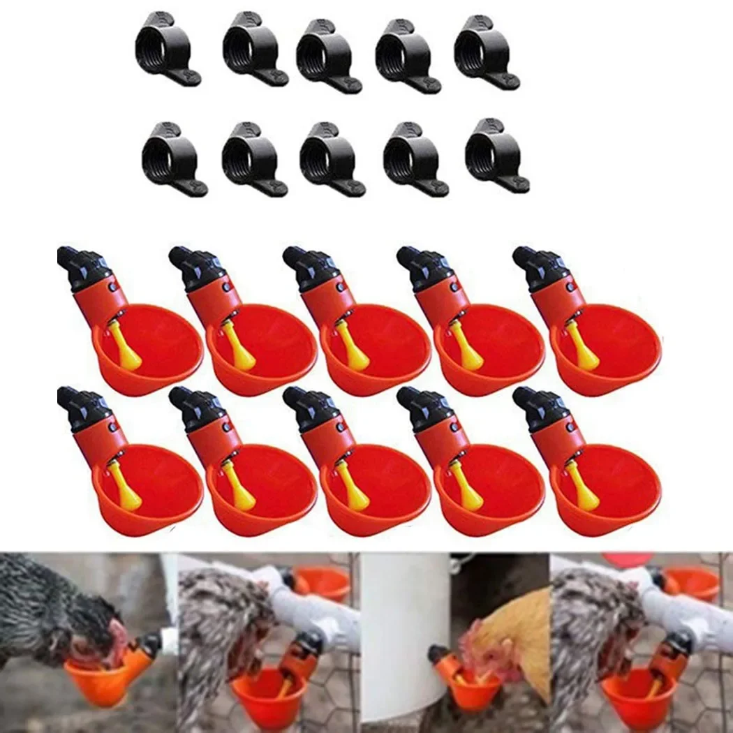 Convenient And Efficient 10Pcs Automatic Bird Poultry Drinking Cups, Enhance Your Chicken Coop's Watering System
Convenient And Efficient 10Pcs Automatic Bird Poultry Drinking Cups, Enhance Your Chicken Coop's Watering System