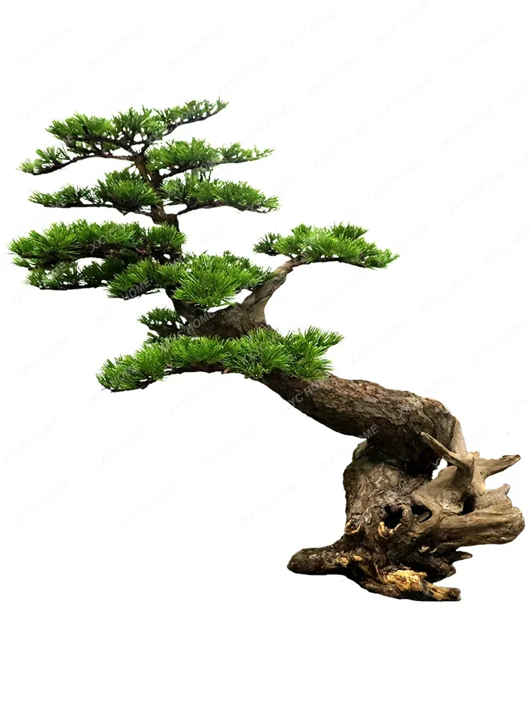 Solid Wood Artificial Pine Bonsai Dried Root Imitative Tree Welcome Pine Plants Green Plants Decorative искуственные деревья
Solid Wood Artificial Pine Bonsai Dried Root Imitative Tree Welcome Pine Plants Green Plants Decorative искуственные деревья