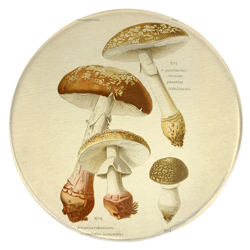 

HX Funny Mushroom Floor Rug 3D Printed Carpets for Living Room Desk Mats Coffee Table Mat Soft Area Rug Dropshipping