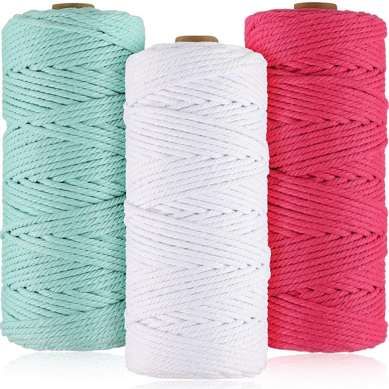 3 Rolls Macrame Cord 3Mm X 100M Natural Cord Spool Twine Twisted Rope For Dream Catcher Plant Hanger Craft Decorative
3 Rolls Macrame Cord 3Mm X 100M Natural Cord Spool Twine Twisted Rope For Dream Catcher Plant Hanger Craft Decorative
