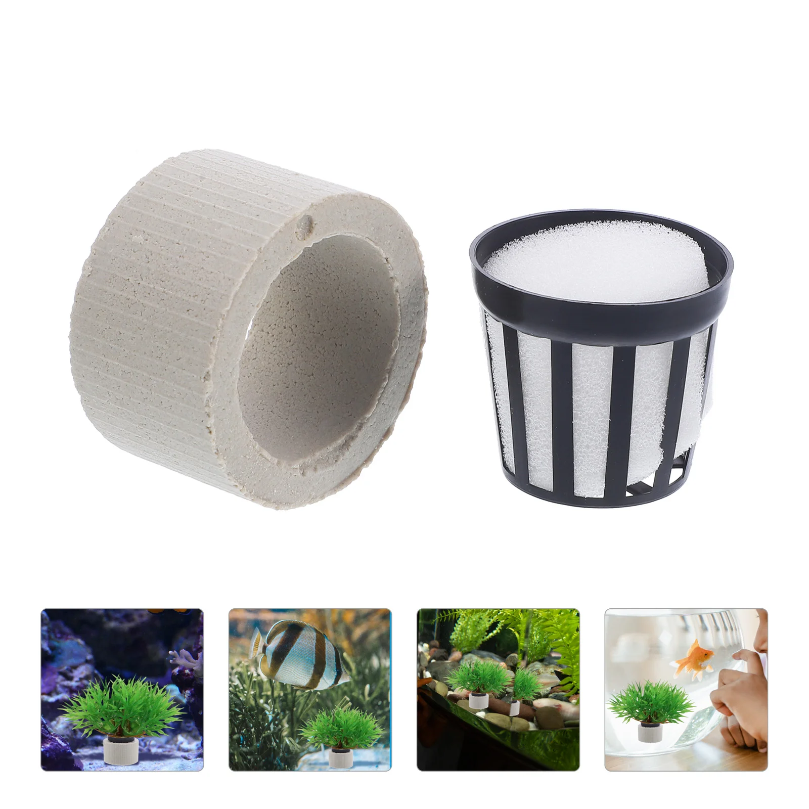 Fish Tank Decors Aquarium Plant Holder Aquarium Plant Weights Fish Tank Planting Tool Water Plants Fix Rings Fish Tank Fix Rings
Fish Tank Decors Aquarium Plant Holder Aquarium Plant Weights Fish Tank Planting Tool Water Plants Fix Rings Fish Tank Fix Rings