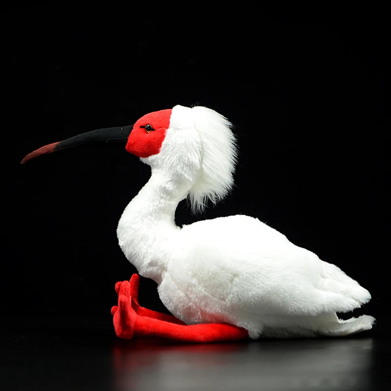 27cm New Simulation Super Cute Asian Crested ibis Plush Toy White Red Japanese Chinese Nipponia nippon Real Life Doll Child Gift
27cm New Simulation Super Cute Asian Crested ibis Plush Toy White Red Japanese Chinese Nipponia nippon Real Life Doll Child Gift