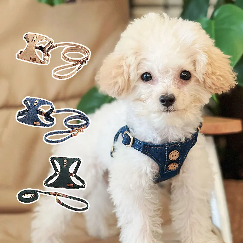 Luxury Dog Harness And Leash Set Designer Soft Kitten Puppy Chest Strap Durable Traction Rope Personalized For Small Pet Walking
Luxury Dog Harness And Leash Set Designer Soft Kitten Puppy Chest Strap Durable Traction Rope Personalized For Small Pet Walking
